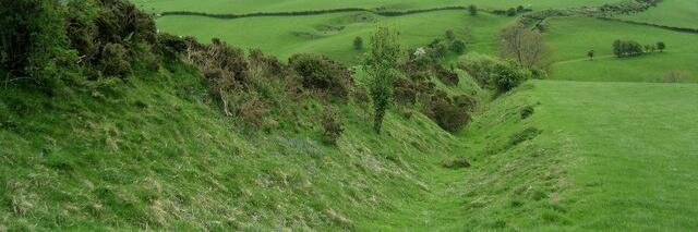 Betsy Garrold banner