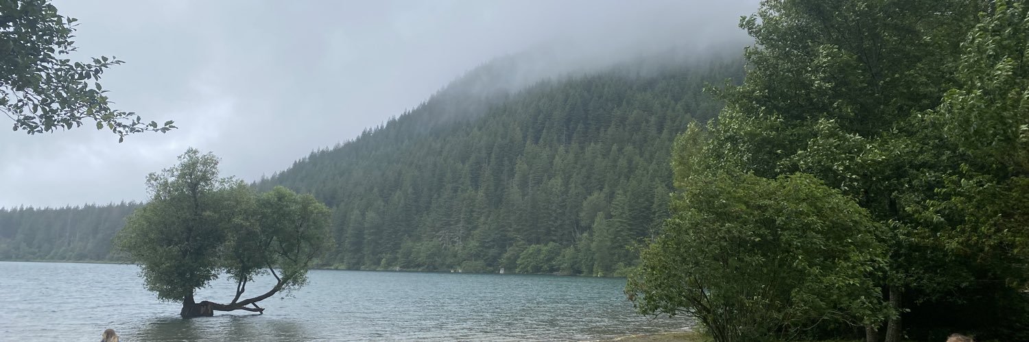 LLW_____'s profile banner image