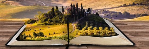 Isabelle_debo's profile banner image
