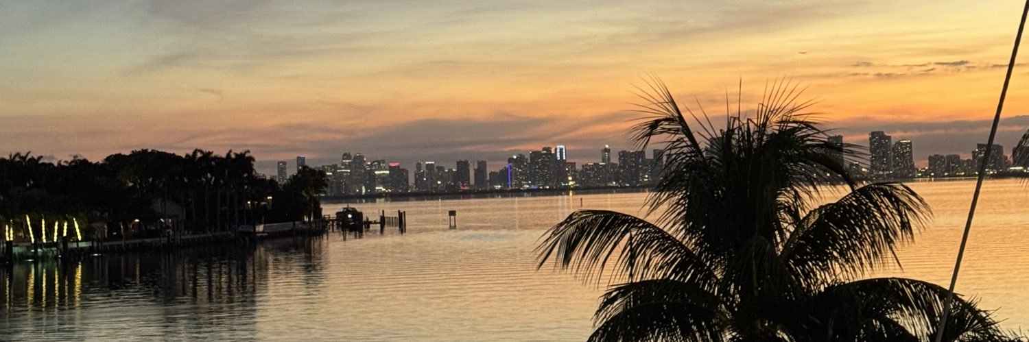 DelfiuLara's profile banner image