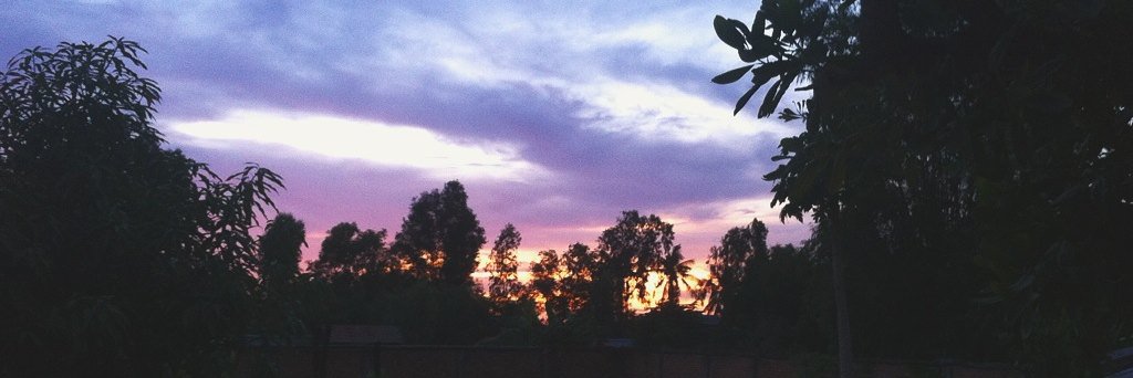 MRamspott's profile banner image