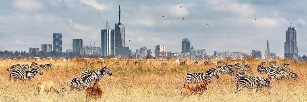 kenyatrailguide's profile banner image