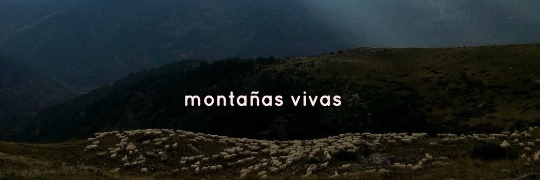NataliaMdeZ's profile banner image