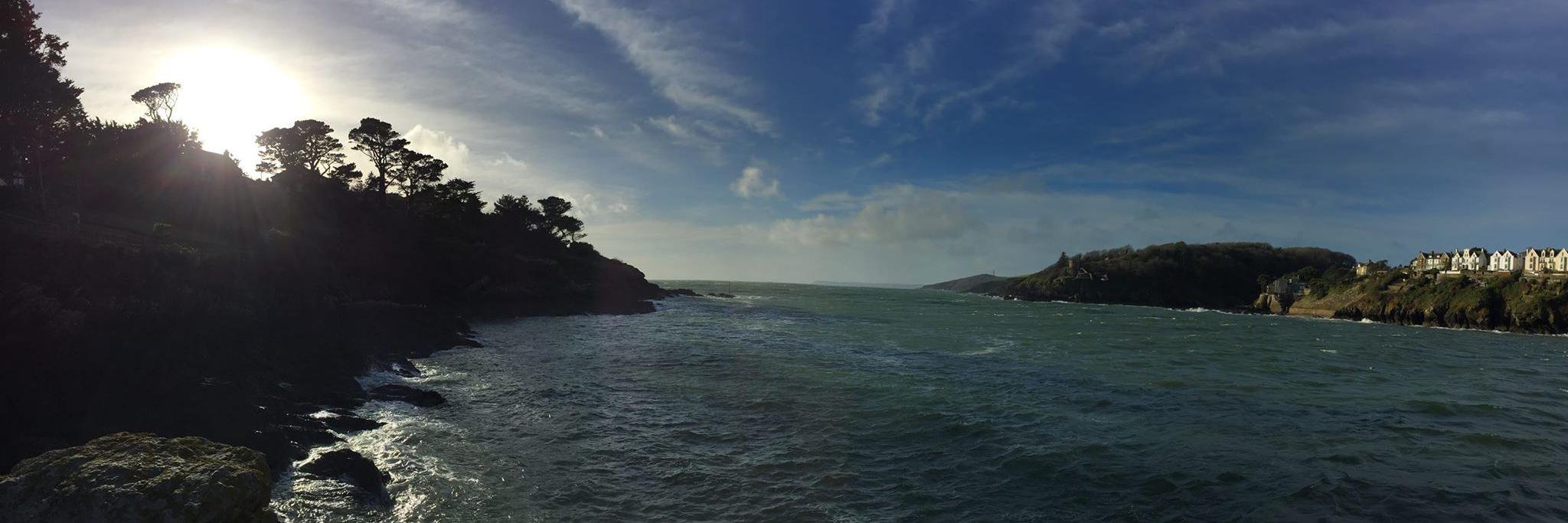 Thomas Paling banner