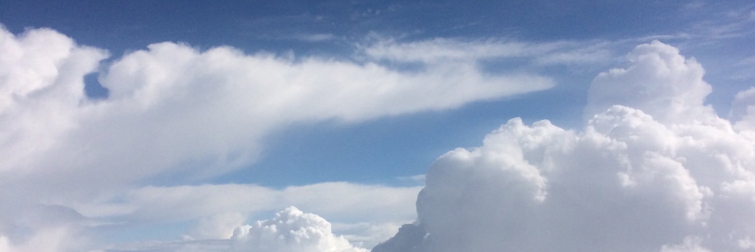 Raphaël Dubs banner