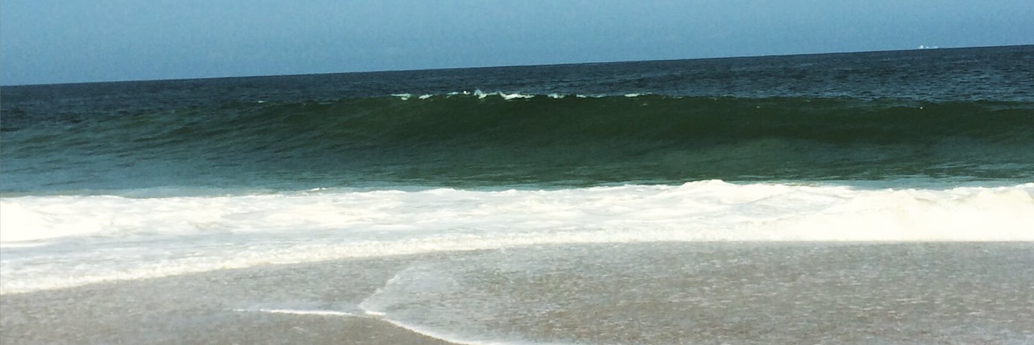 Kate Lepovsky banner