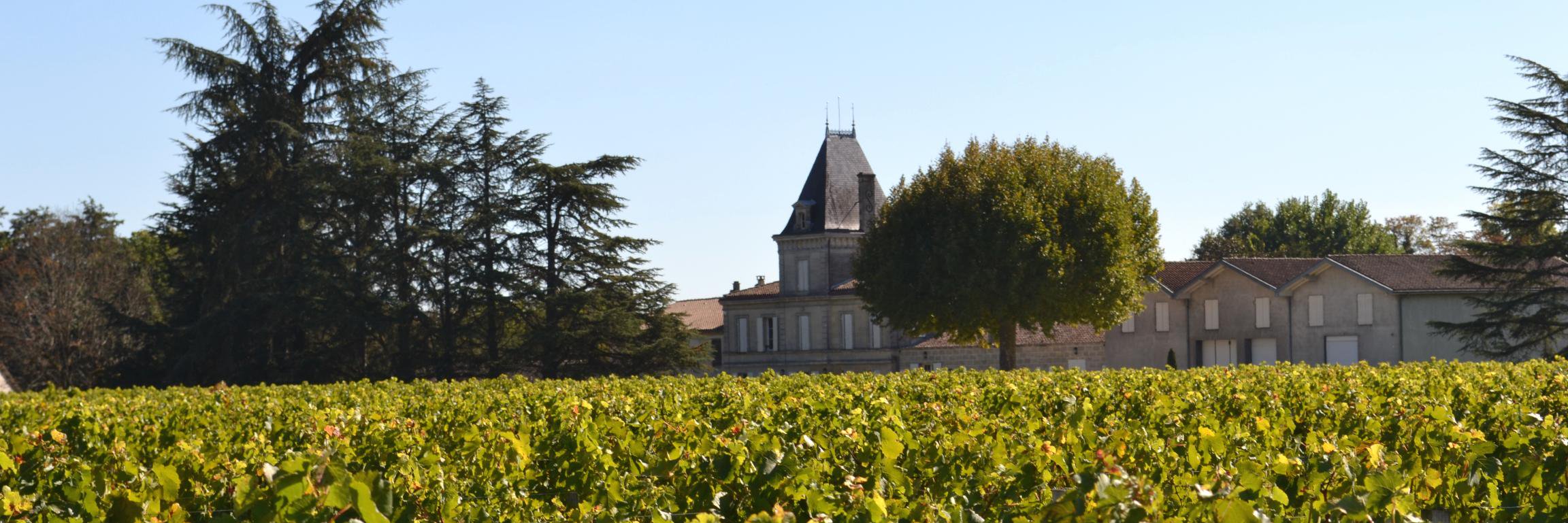 Château du Tailhas banner