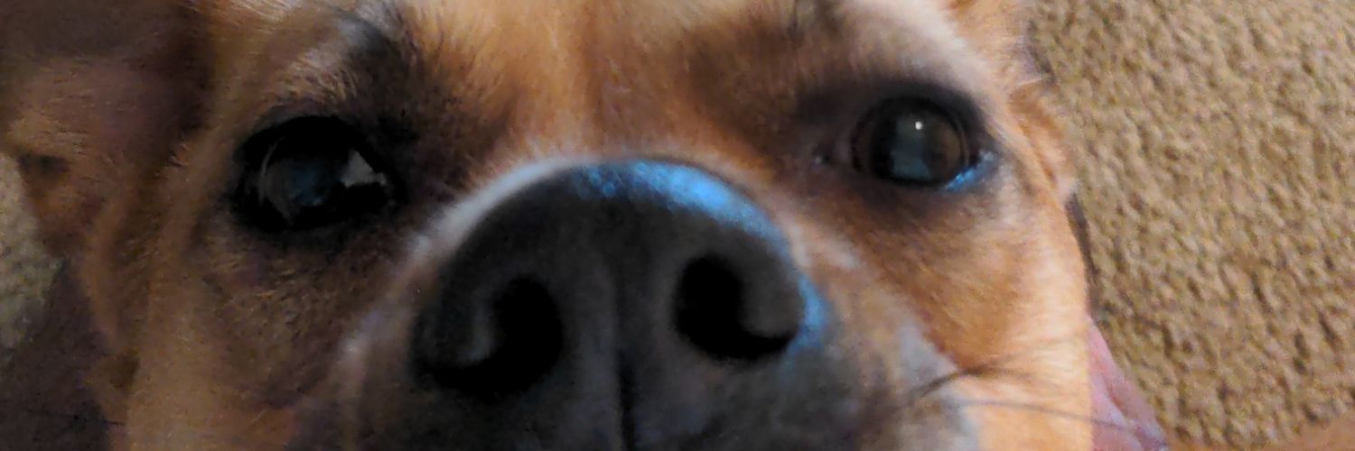 nottherealvarun's profile banner image