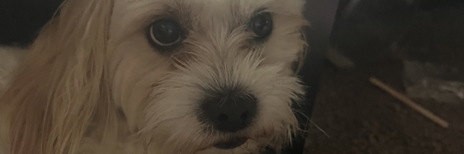 andythrillz's profile banner image