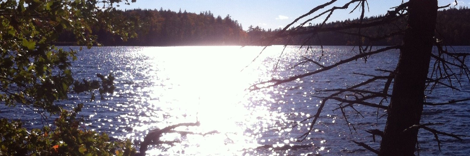 haileyrendell's profile banner image