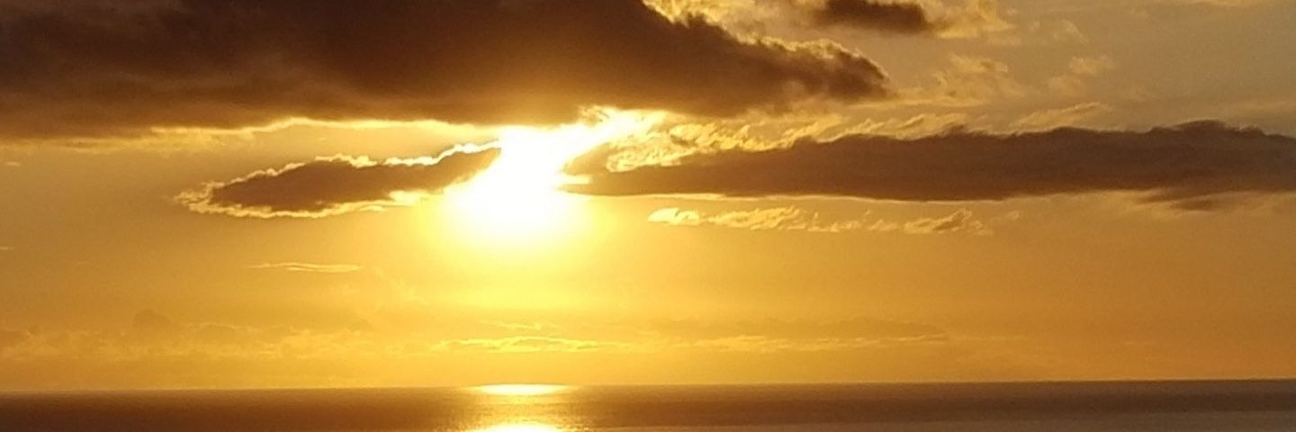 naraki355's profile banner image