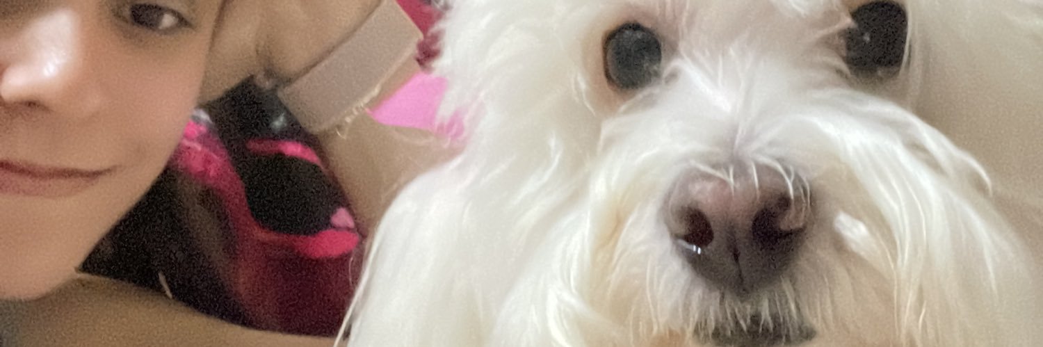 Ximena Paredes banner