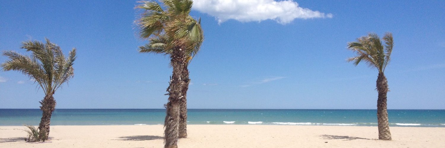 Pilar García banner