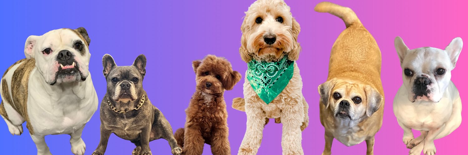 PJ banner