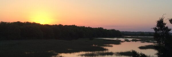 MorrisatLarge Profile Banner