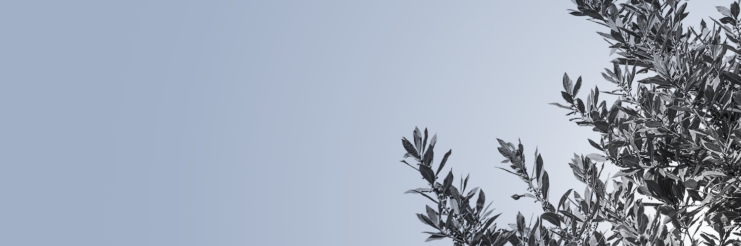 sarasinpartners's profile banner image