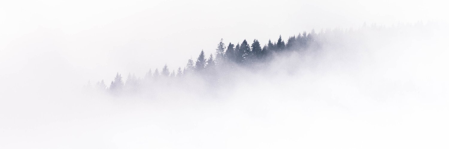 YsiLohan's profile banner image