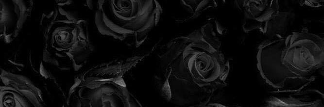 Dudapiconn's profile banner image