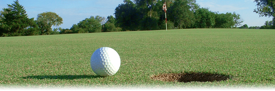 PVEaglesGolf's profile banner image