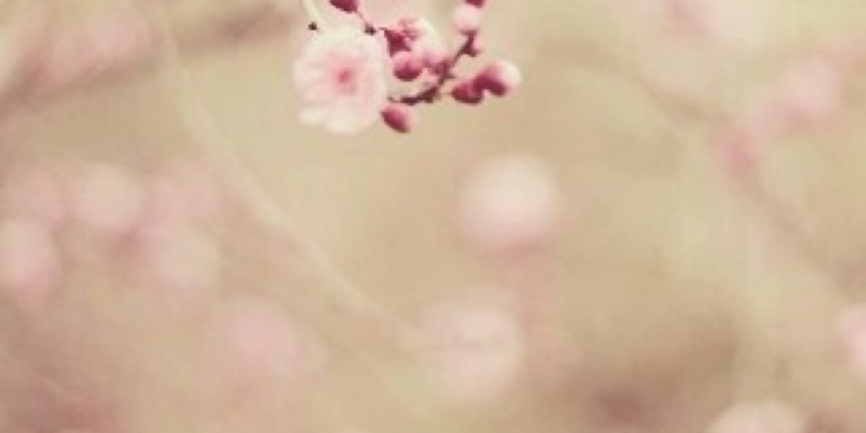 b_farhat's profile banner image