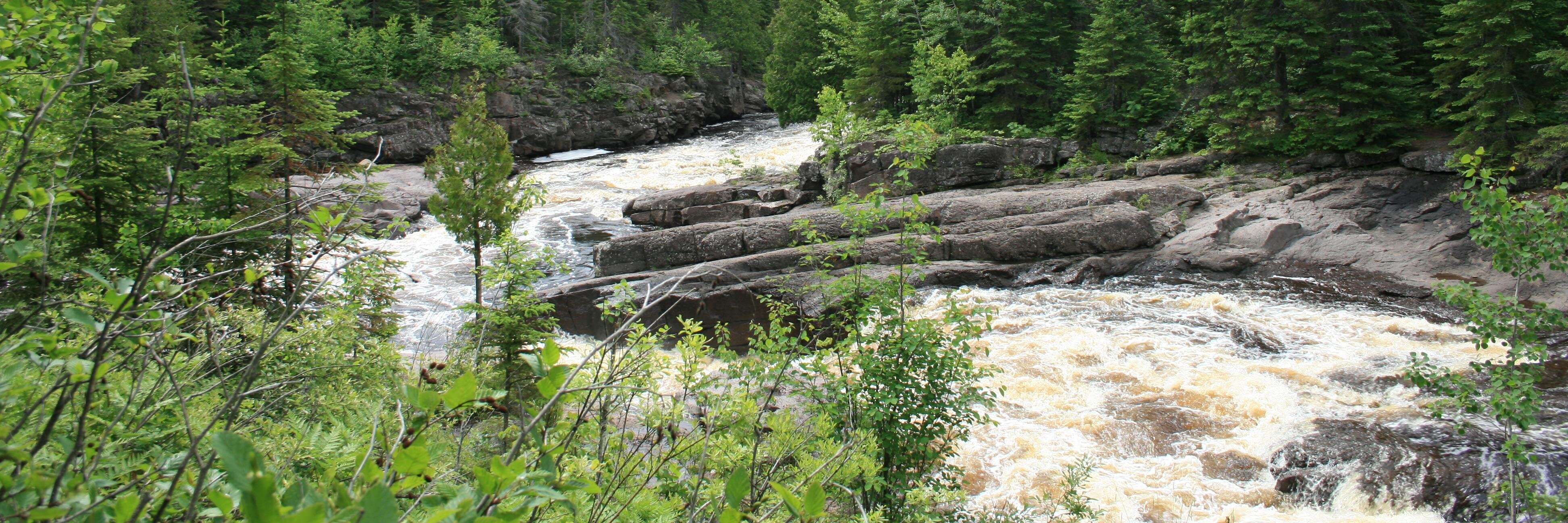 Elizabeth Carls banner