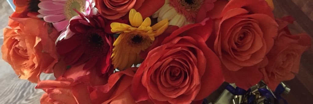 ZSteiness's profile banner image