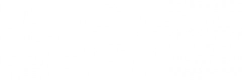 SolomilloGang's profile banner image