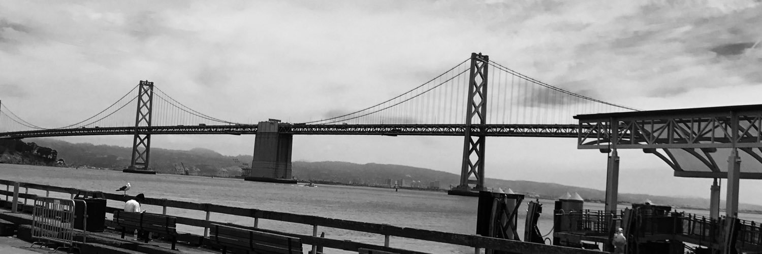 mrsbirddee's profile banner image