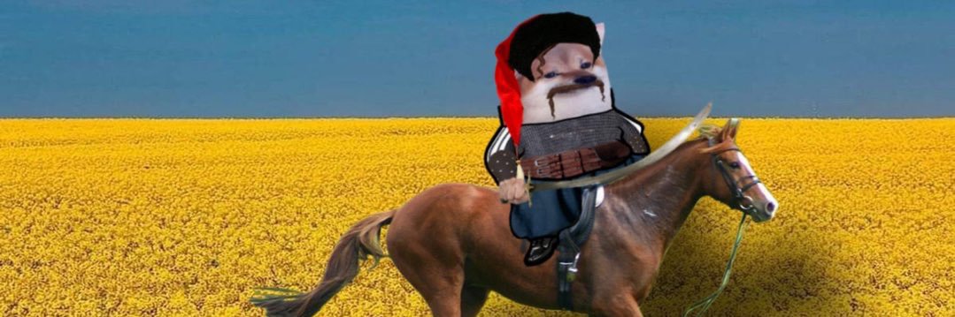 netchaïev 🇺🇦 🇦🇴's banner