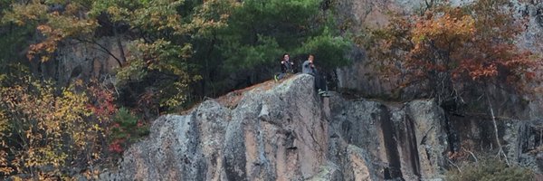 CougarCollins Profile Banner