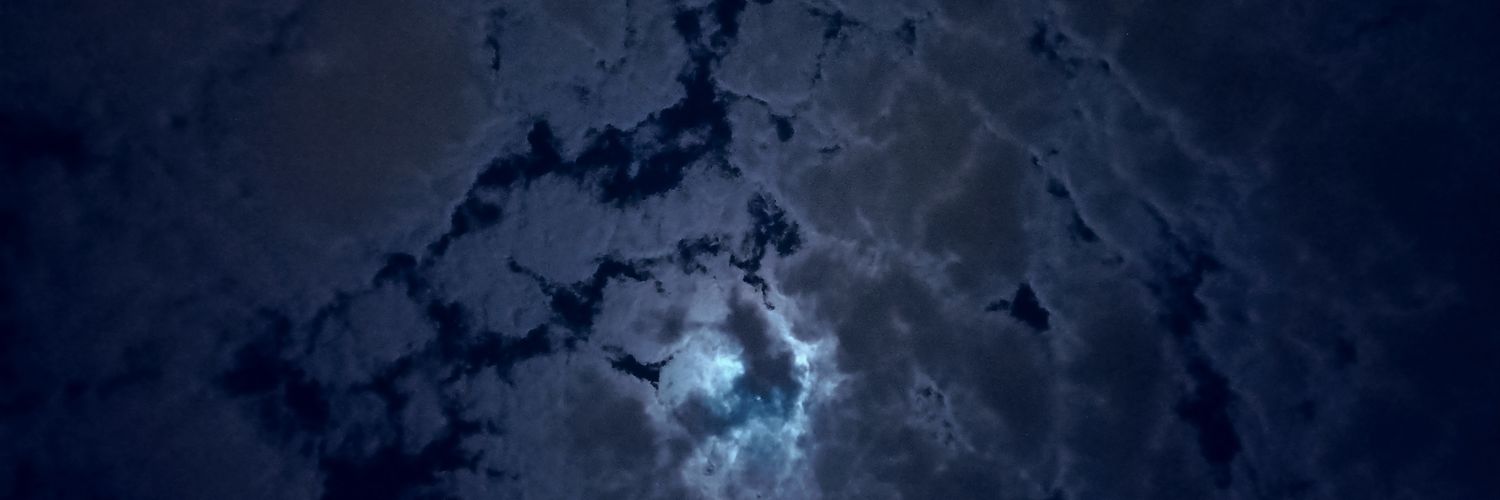 btaucher_'s profile banner image