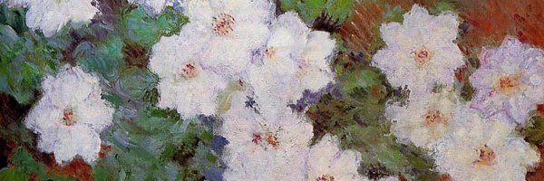 basscapo Profile Banner