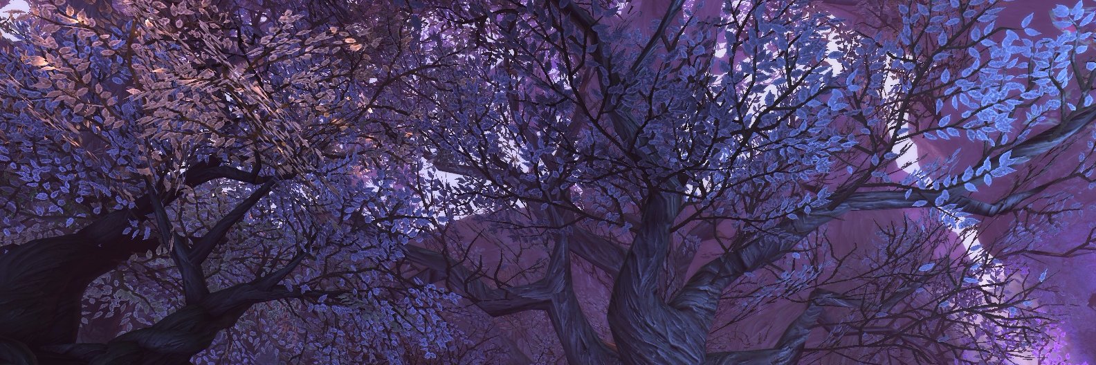 CuriousImp's profile banner image