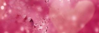Tracey Stark banner