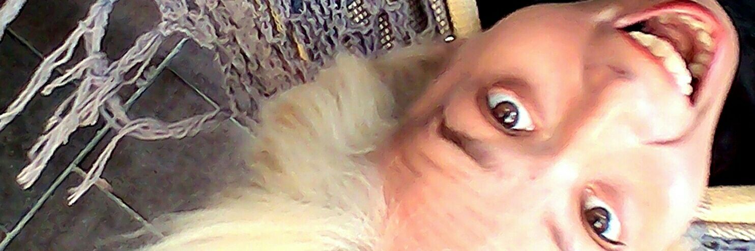 #GenitTeCanta banner