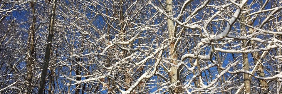 Discover Ohio banner