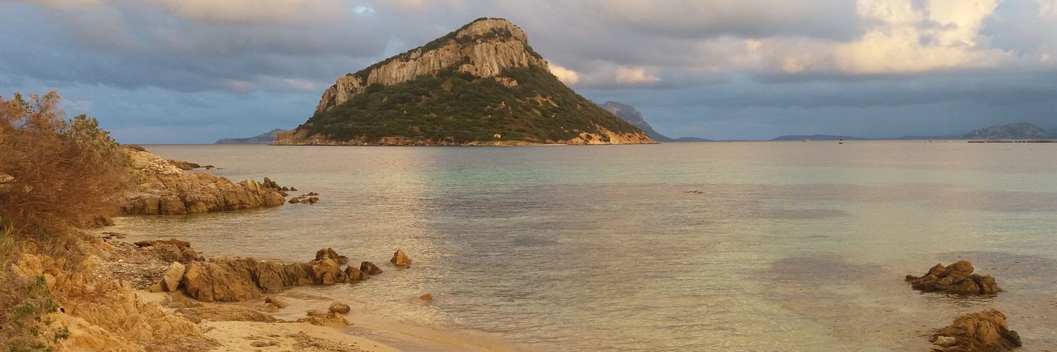 AntonellaM74's profile banner image