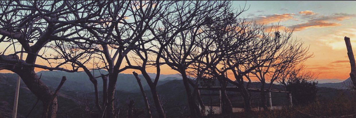 NoemiSec's profile banner image