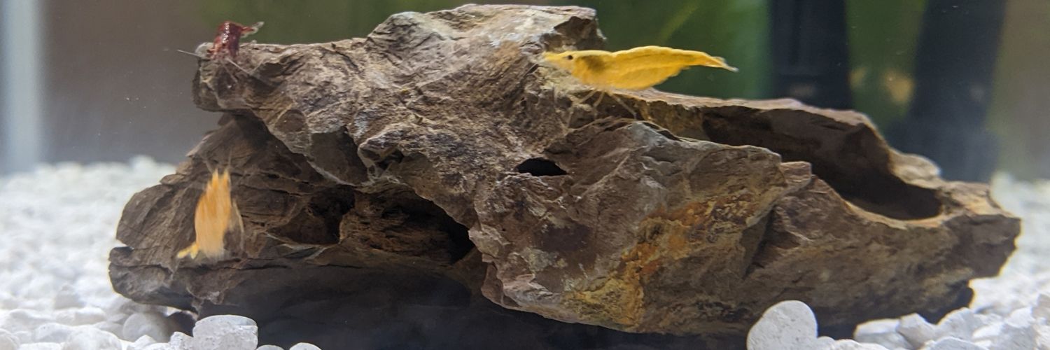 kevturd's profile banner image