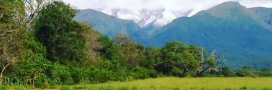 fmarcelogallar1's profile banner image