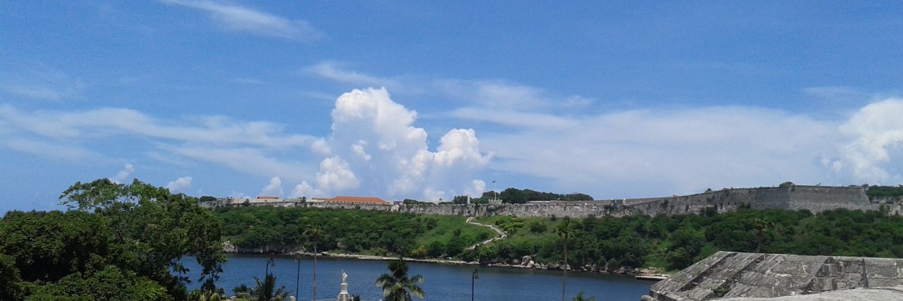 Beatriz Herrera banner