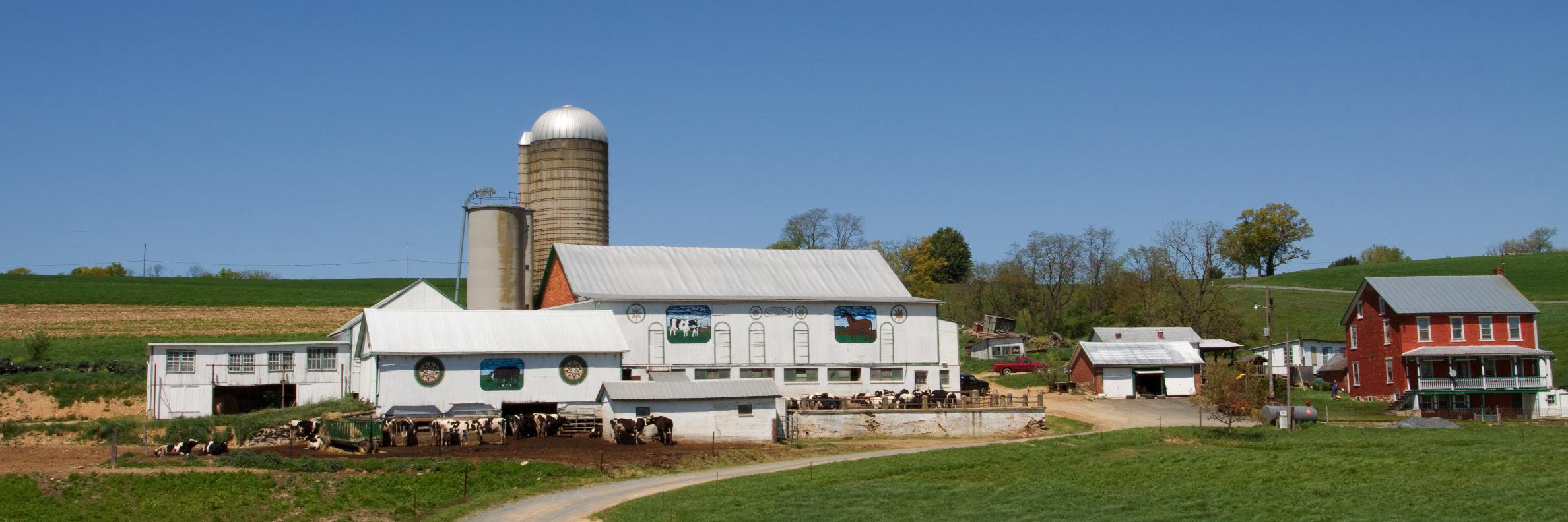 BerksCountyAg's profile banner image