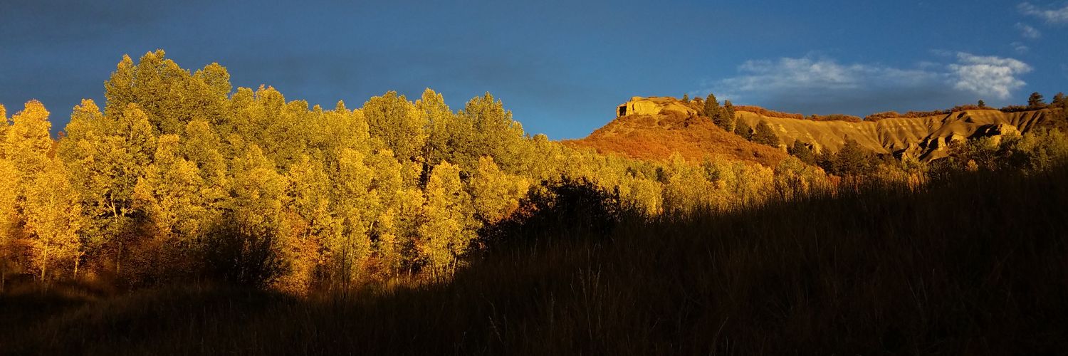DavidKrause's profile banner image