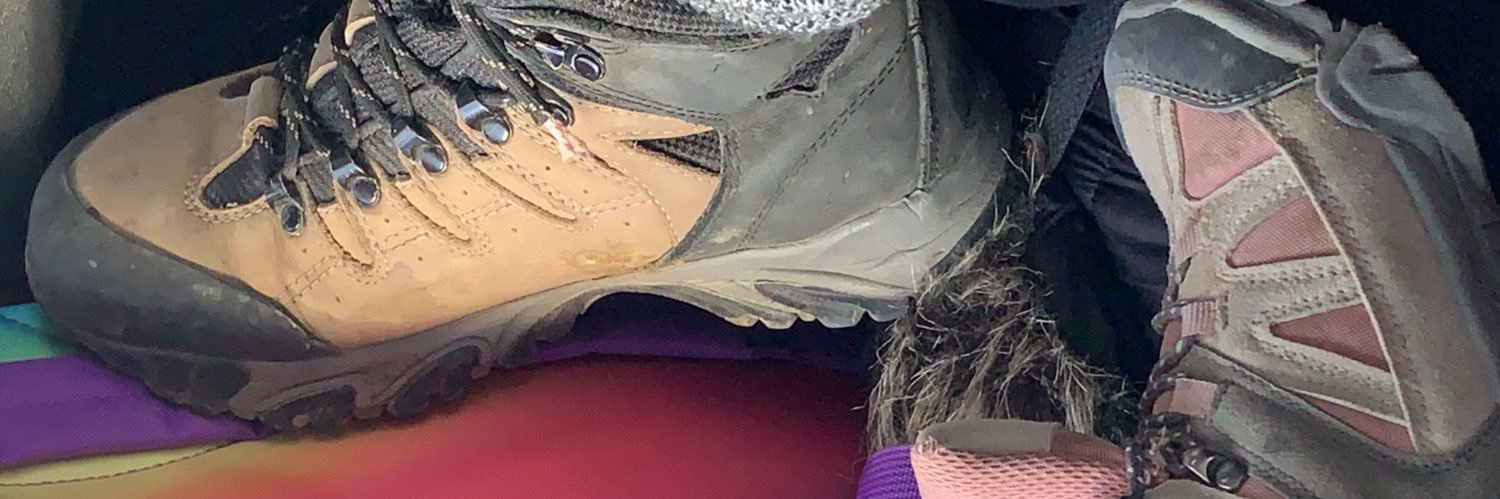 veroaleda's profile banner image