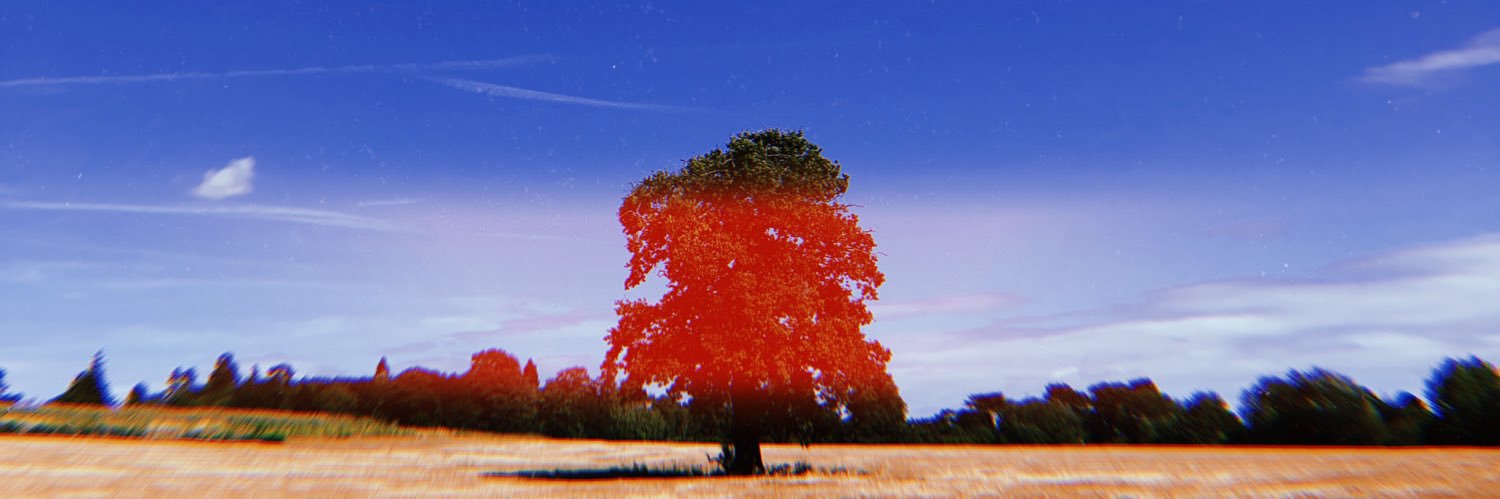 BenHahn97's profile banner image