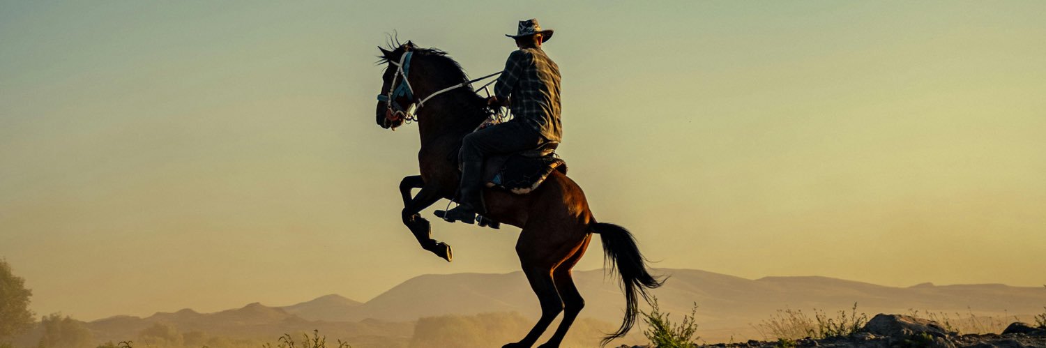 BradleyGraham_'s profile banner image