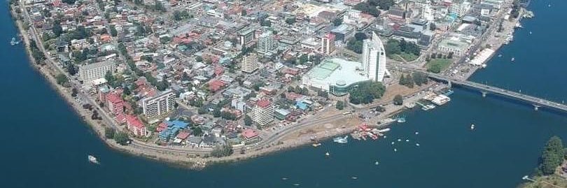 De Valdivia soy banner