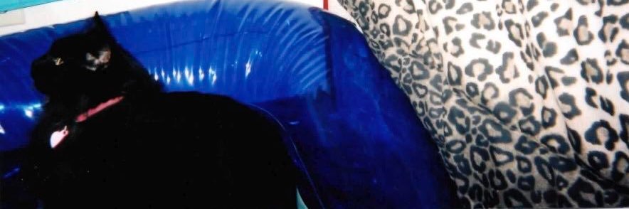 prob_ally's profile banner image
