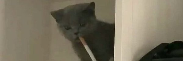 mckda Profile Banner