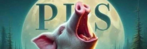 NitroPLCZ's profile banner image